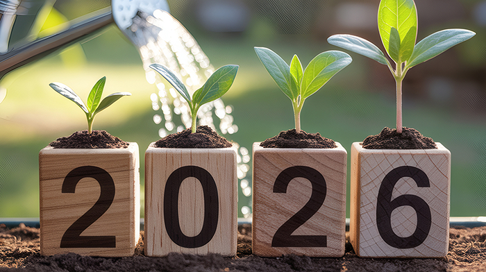 Das Bild stellt das Konzept von Wachstum und Entwicklung im Jahr 2026 dar. Es zeigt junge Pflanzen, die aus Holzklötzen sprießen, auf denen die Zahl "2026" geschrieben ist. Dies symbolisiert möglicherweise Fortschritt, Erneuerung und Hoffnung für die Zukunft. Der Gießstrahl, der die Pflanzen feucht hält, könnte Pflege und Unterstützung für nachhaltiges Wachstum darstellen.
